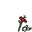 dead floette red