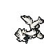 dead furfrou