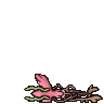 dead dragalge