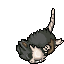 dead alolan raticate