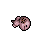 dead shiny wooper
