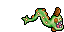dead shiny huntail