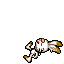 dead shiny scorbunny