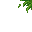 jungle grass