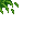 jungle grass
