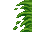 jungle grass