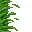 jungle grass
