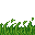 jungle grass
