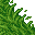 jungle grass