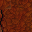 dirt wall