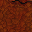 dirt wall
