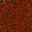 stone wall