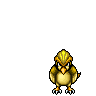 Shiny Pidgeot