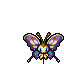 Shiny Beautifly
