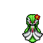 N/a