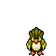 Shiny Pidgeotto