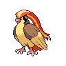 Dark Pidgeot