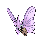 Guardian Venomoth